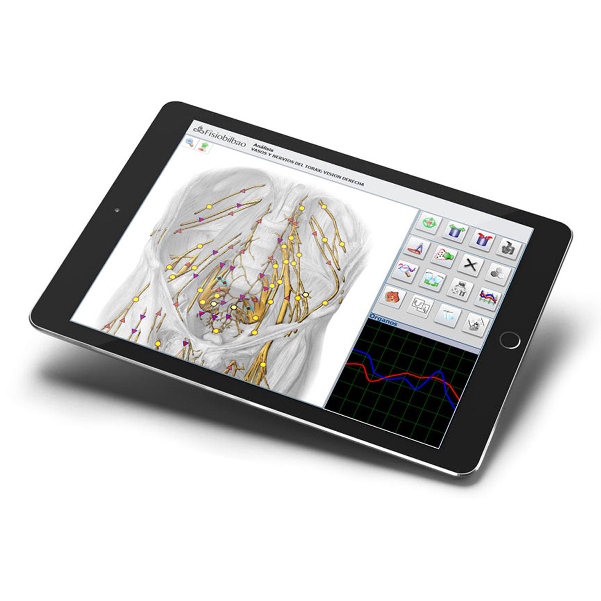 ESBIA (Advanced Biointegral Scanner).