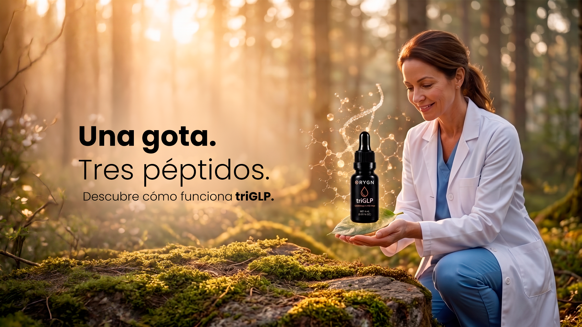 Cargar video: 