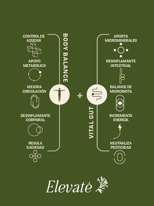 BODY BALANCE + VITAL GUT DUO