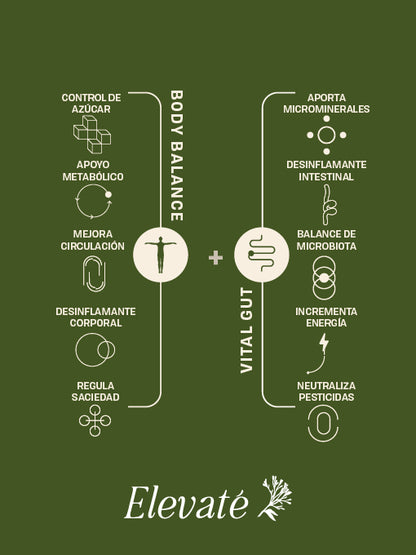 BODY BALANCE + VITAL GUT DUO