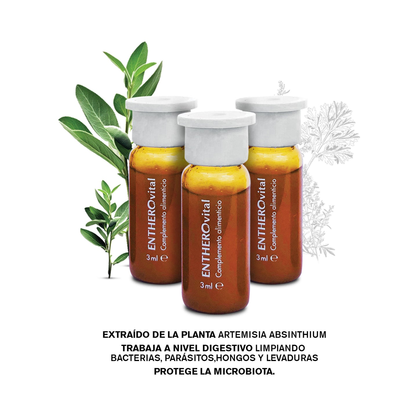 EntheroVital