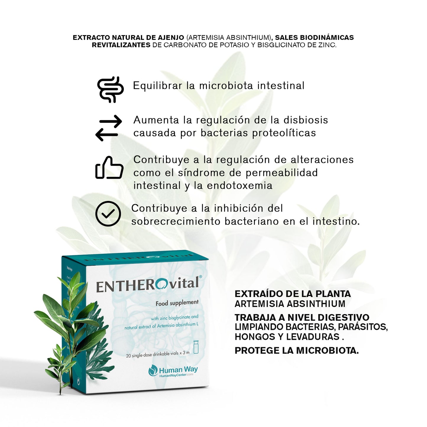 EntheroVital