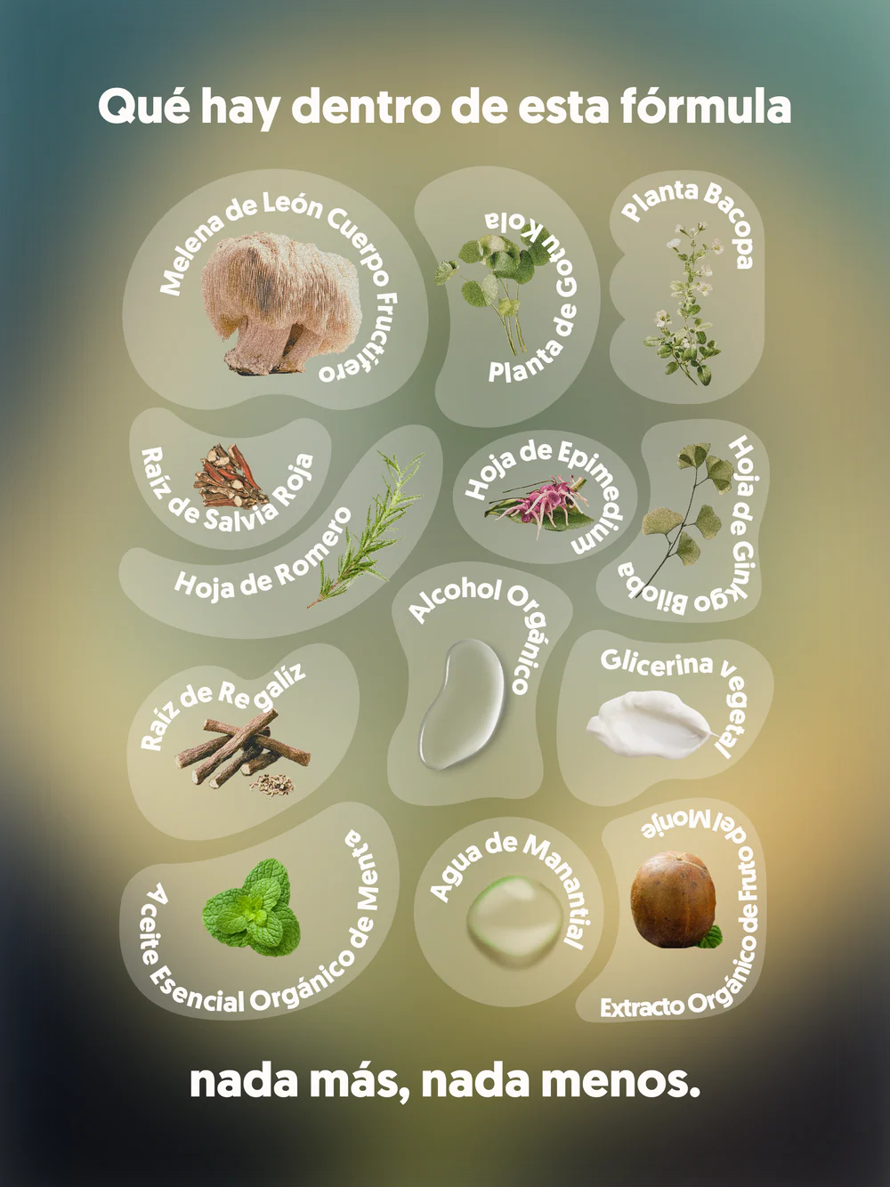 MIND FOOD | Spray con adaptógenos