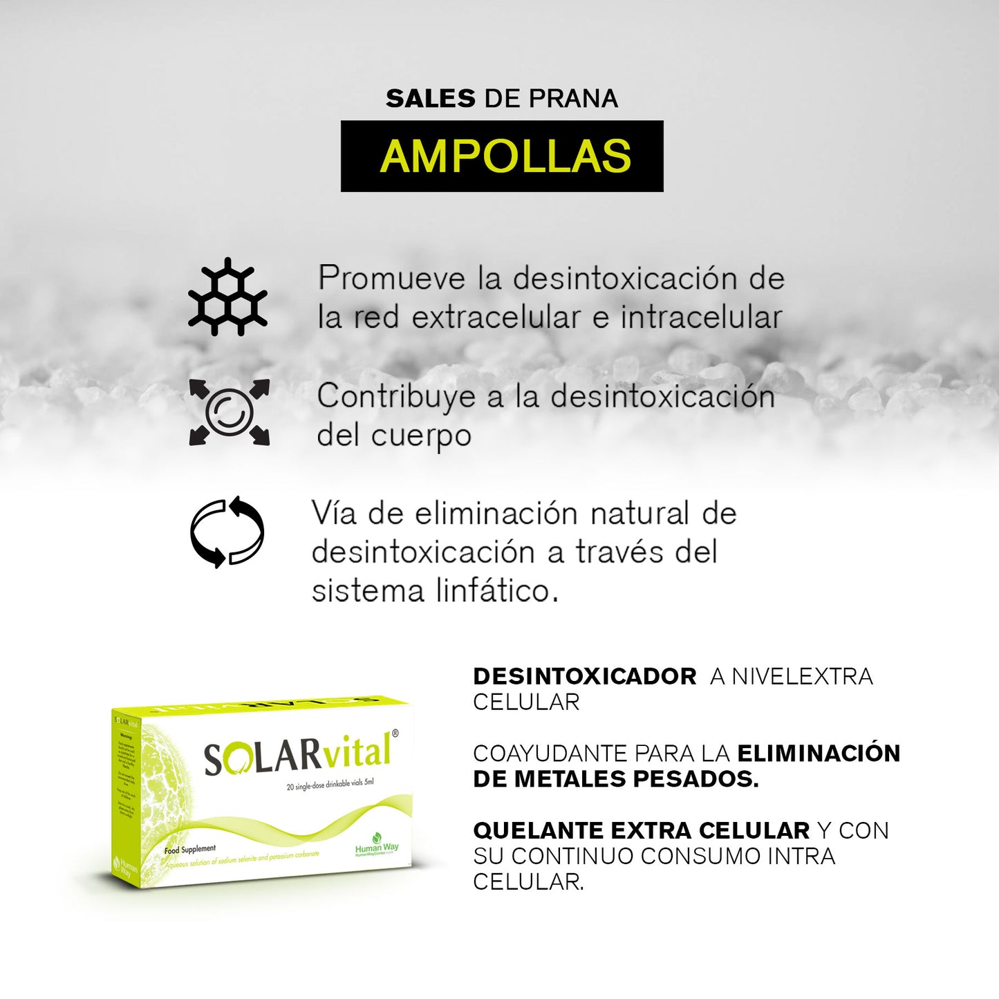 solar vital