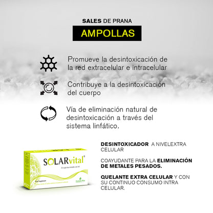 solar vital