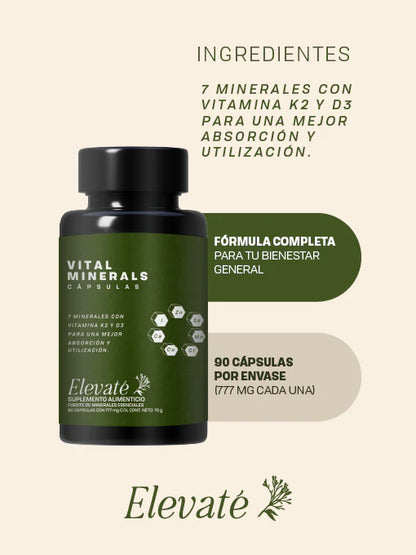 VITAL MINERALS