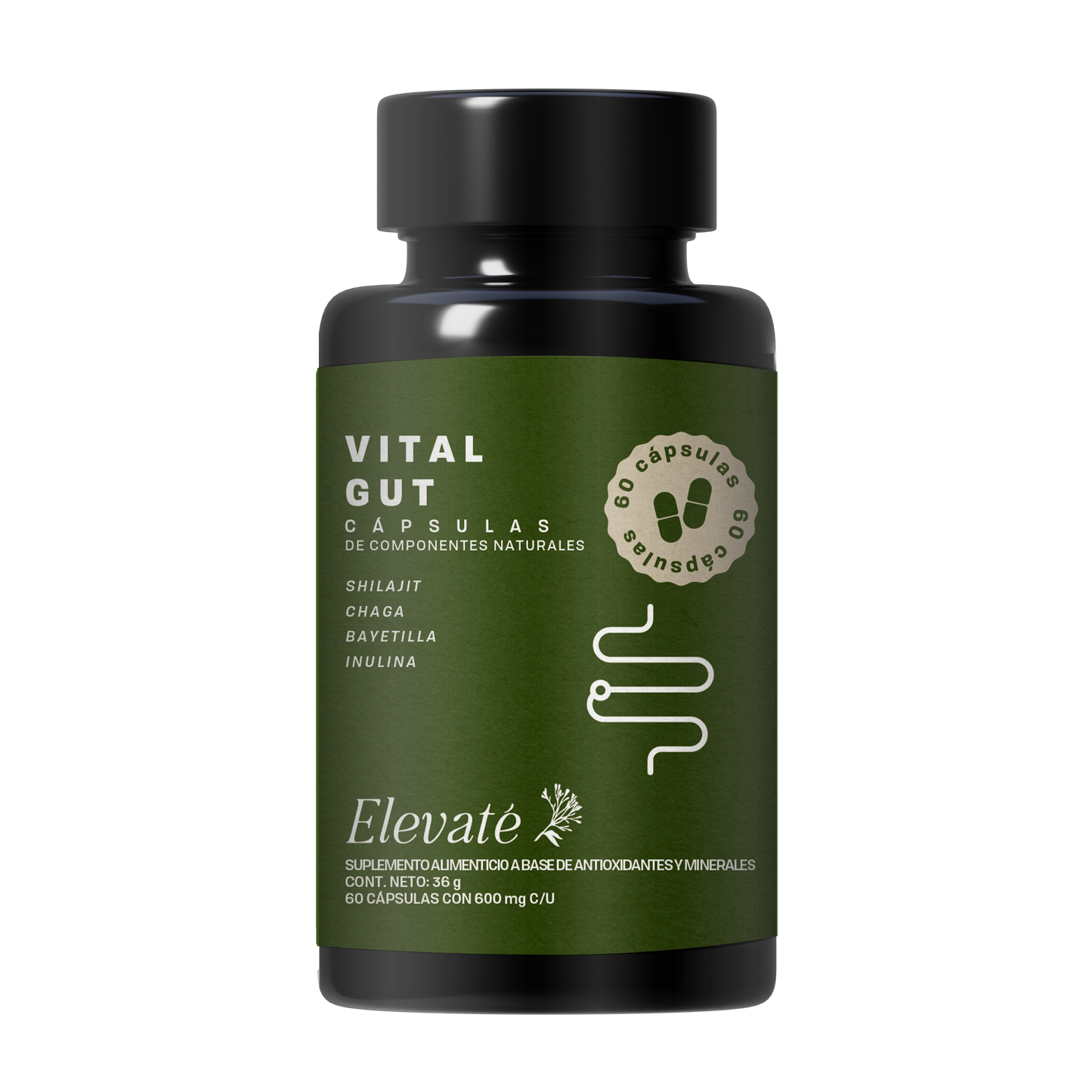 VITAL GUT CAPSULES
