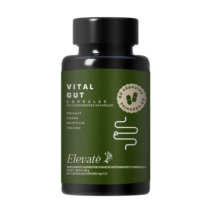 VITAL GUT CAPSULES