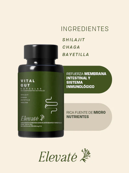 BODY BALANCE + VITAL GUT DUO