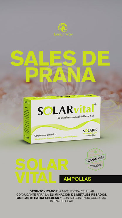 Solar Vital